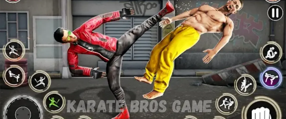 karate bros game