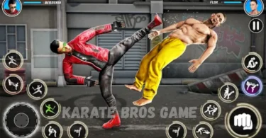 karate bros game