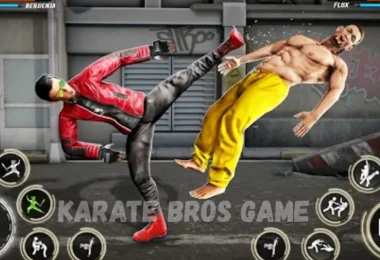 karate bros game