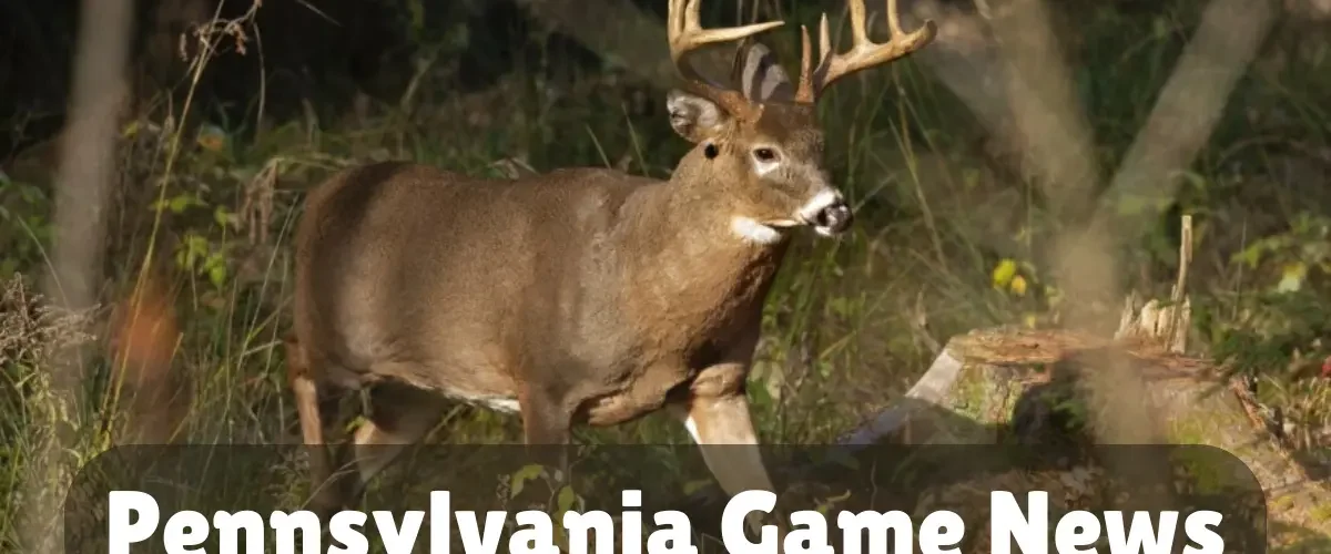 pennsylvania game news