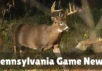 pennsylvania game news