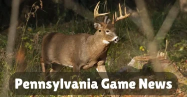 pennsylvania game news