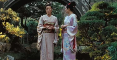 the aesthetics of memoirs of a geisha